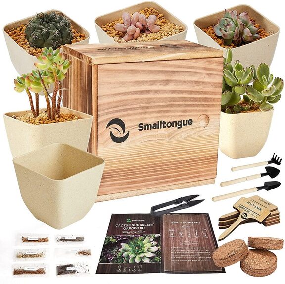 indoor plant seed kit
