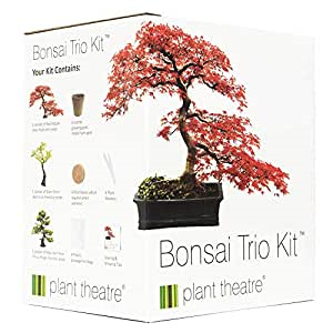 Bonsai grow kit