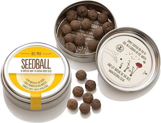 bee seed balls