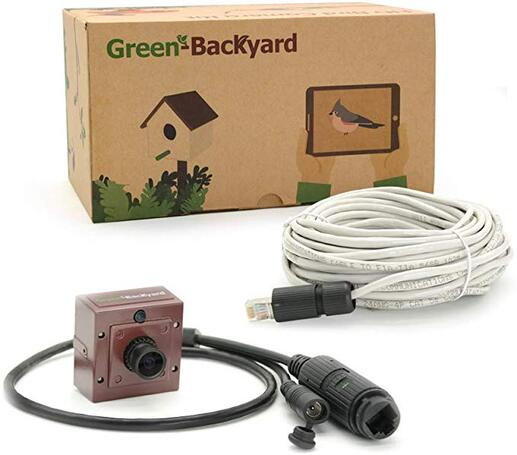 Backyard bird box video camera