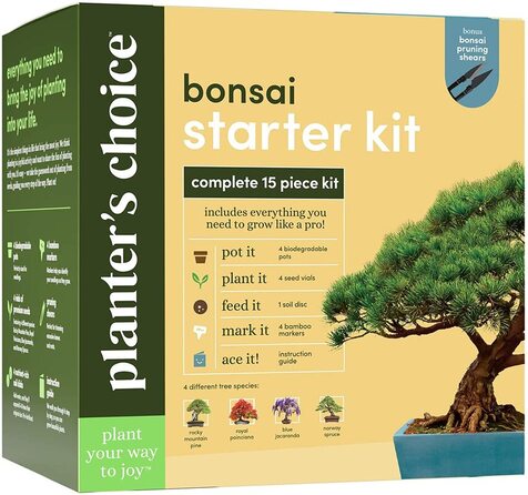 Bonsai starter kit gardening gift 