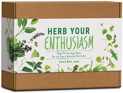 herb growing kit