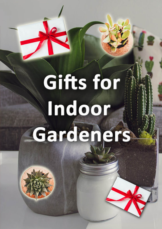Gifts for indoor gardeners