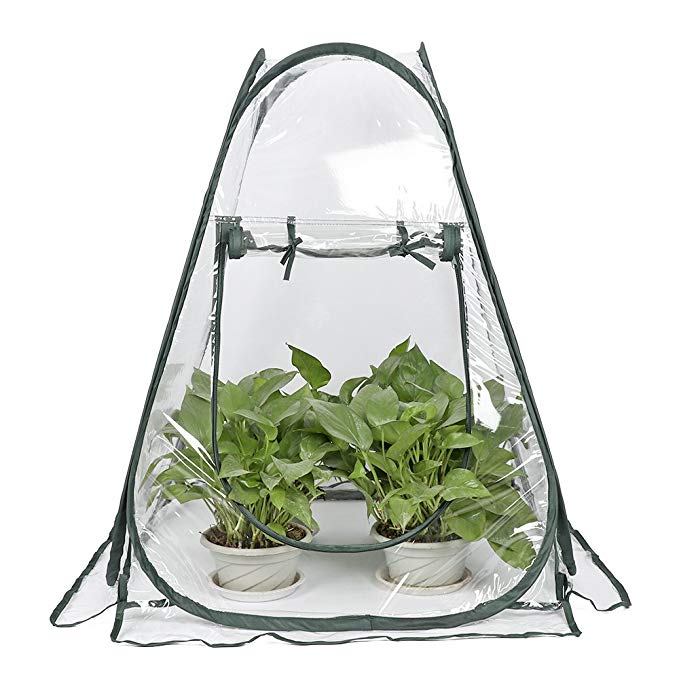mini pop up greenhouse 