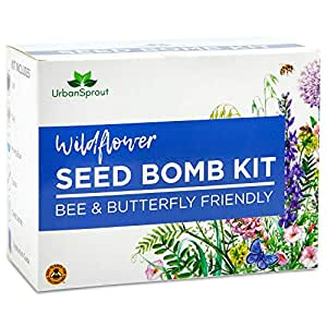 Butterfly seed bombs 