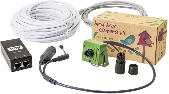 Garden bird box camera