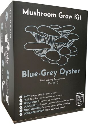 Blue oyster mushroom grow kit