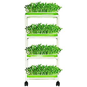 Mobile seed tray