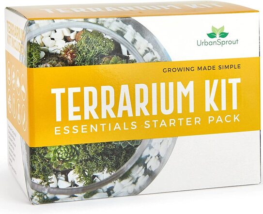 Terrarium kit