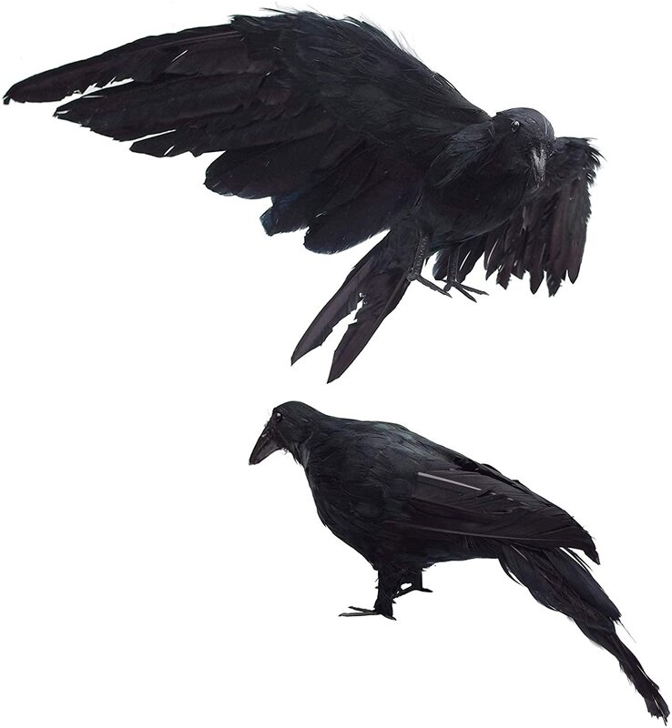 Raven decor