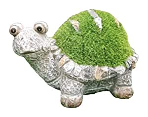 Lawn tortoise
